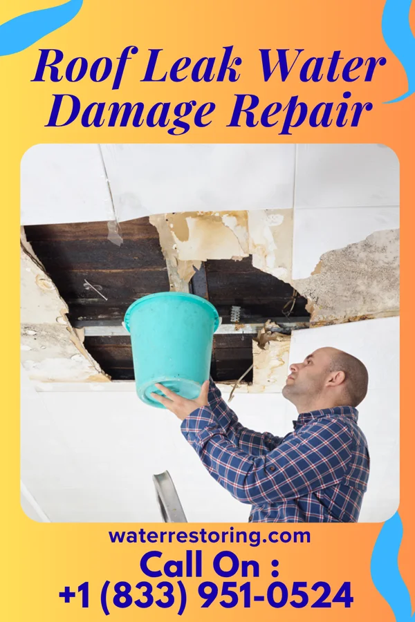 Roof Leak Water Damage Repair in King Lake, NE